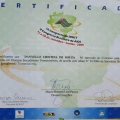 Ampliar imagem: certificate 5