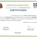 Ampliar imagem: certificate 2