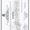Ampliar imagem: certificate 3