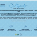 Ampliar imagem: certificate 11