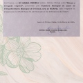 Ampliar imagem: certificate 13