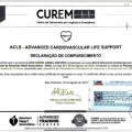 Ampliar imagem: certificate 13