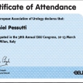 Ampliar imagem: certificate 1