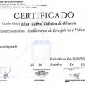 Ampliar imagem: certificate 8
