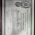 Ampliar imagem: certificate 1