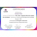 Ampliar imagem: certificate 3