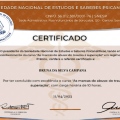 Ampliar imagem: certificate 3