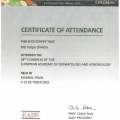 Ampliar imagem: certificate 2