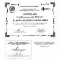 Ampliar imagem: certificate 3