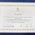 Ampliar imagem: certificate 9