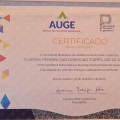 Ampliar imagem: certificate 1