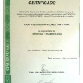 Ampliar imagem: certificate 1