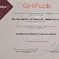 Ampliar imagem: certificate 4