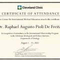 Ampliar imagem: certificate 11