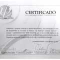 Ampliar imagem: certificate 6