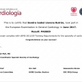 Acercar imagen: certificate 2
