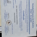Acercar imagen: certificate 5