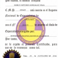 Acercar imagen: certificate 3