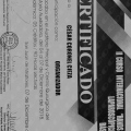 Acercar imagen: certificate 2