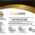 Acercar imagen: certificate 12