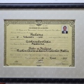 Acercar imagen: certificate 9