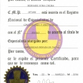 Acercar imagen: certificate 14