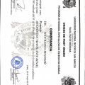 Acercar imagen: certificate 7
