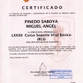 Acercar imagen: certificate 3