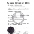 Acercar imagen: certificate 5