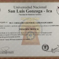 Acercar imagen: certificate 9