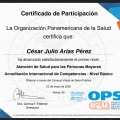 Acercar imagen: certificate 31