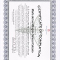 Acercar imagen: certificate 11