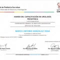 Acercar imagen: certificate 6