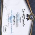 Acercar imagen: certificate 12