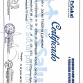 Acercar imagen: certificate 7