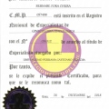 Acercar imagen: certificate 9