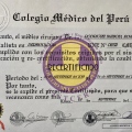 Acercar imagen: certificate 6