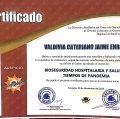 Acercar imagen: certificate 9