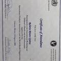 Acercar imagen: certificate 19