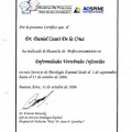 Acercar imagen: certificate 5