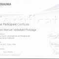 Acercar imagen: certificate 9