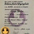Acercar imagen: certificate 5