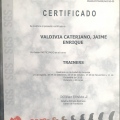 Acercar imagen: certificate 22