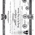 Acercar imagen: certificate 6