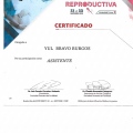 Acercar imagen: certificate 7
