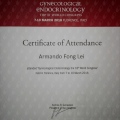 Acercar imagen: certificate 6