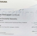 Acercar imagen: certificate 10