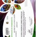 Acercar imagen: certificate 3