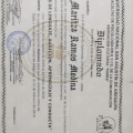 Acercar imagen: certificate 12