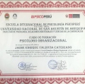 Acercar imagen: certificate 21